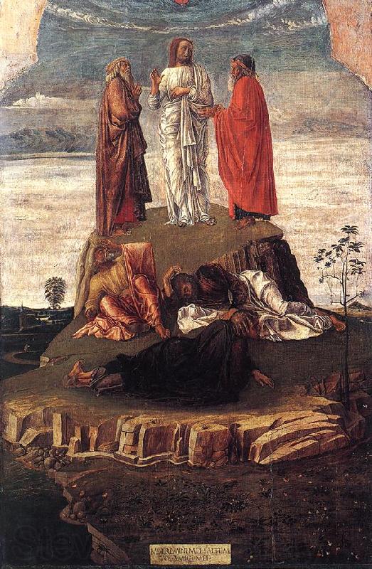 BELLINI, Giovanni Transfiguration of Christ se Spain oil painting art